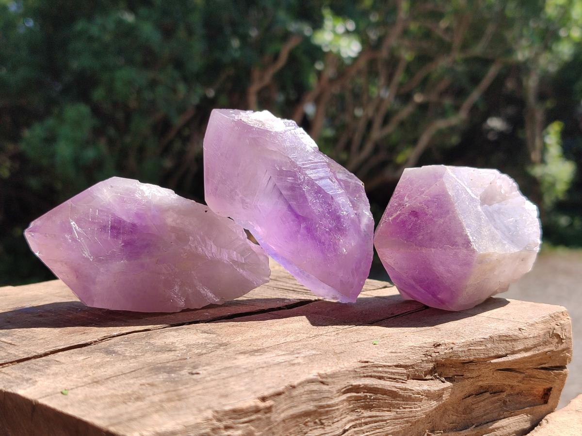 Natural Jacaranda Amethyst Single Crystals x 12 From Mumbwa, Zambia