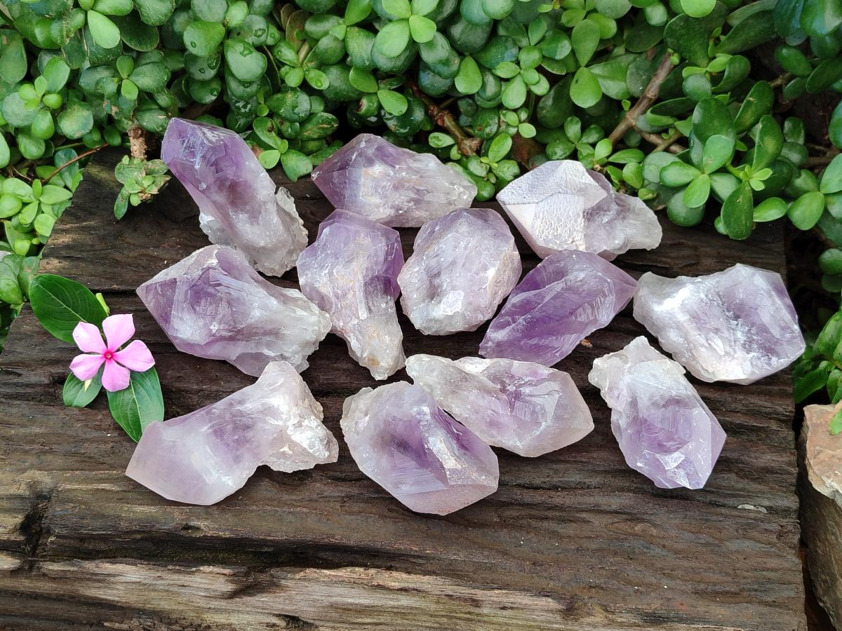 Natural Jacaranda Amethyst Single Crystals x 12 From Mumbwa, Zambia