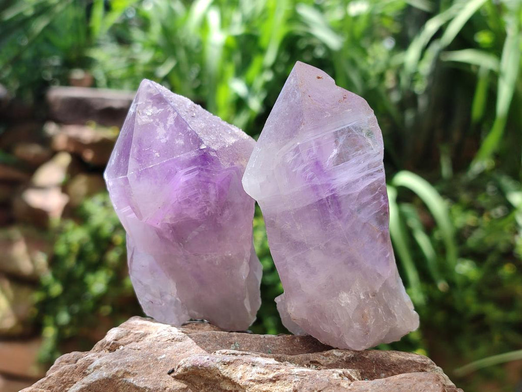 Natural Jacaranda Amethyst Single Crystals x 12 From Mumbwa, Zambia