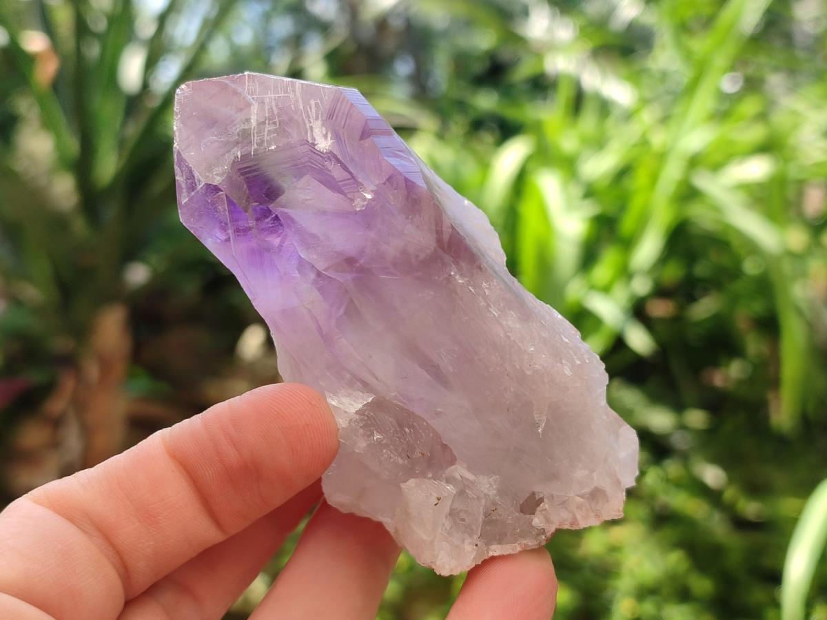 Natural Jacaranda Amethyst Single Crystals x 12 From Mumbwa, Zambia