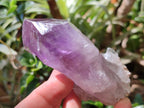 Natural Jacaranda Amethyst Single Crystals x 12 From Mumbwa, Zambia