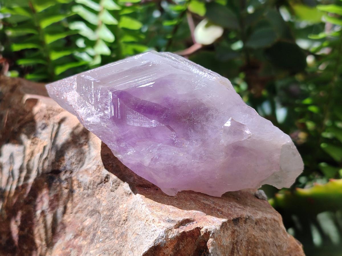 Natural Jacaranda Amethyst Single Crystals x 12 From Mumbwa, Zambia