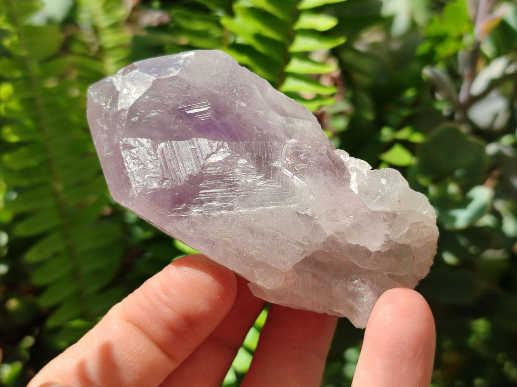 Natural Jacaranda Amethyst Single Crystals x 12 From Mumbwa, Zambia