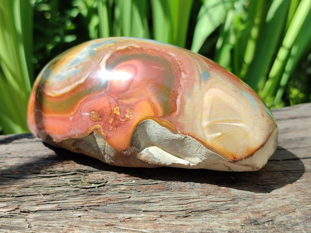 Polished On One Side Polychrome Jasper Nodules x 3 From NW Coast, Madagascar