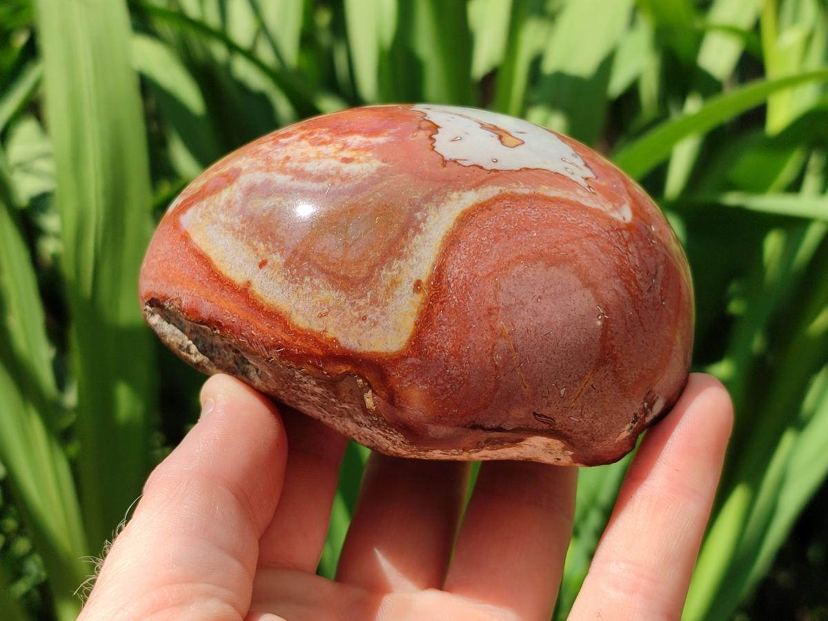 Polished On One Side Polychrome Jasper Nodules x 3 From NW Coast, Madagascar