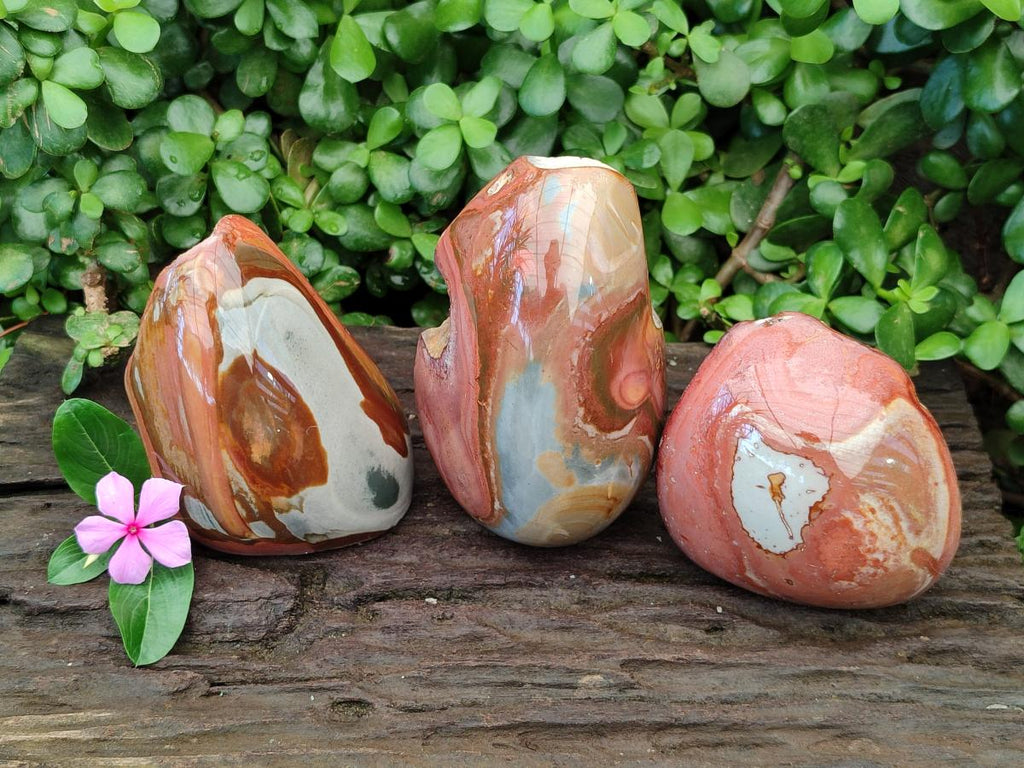 Polished On One Side Polychrome Jasper Nodules x 3 From NW Coast, Madagascar