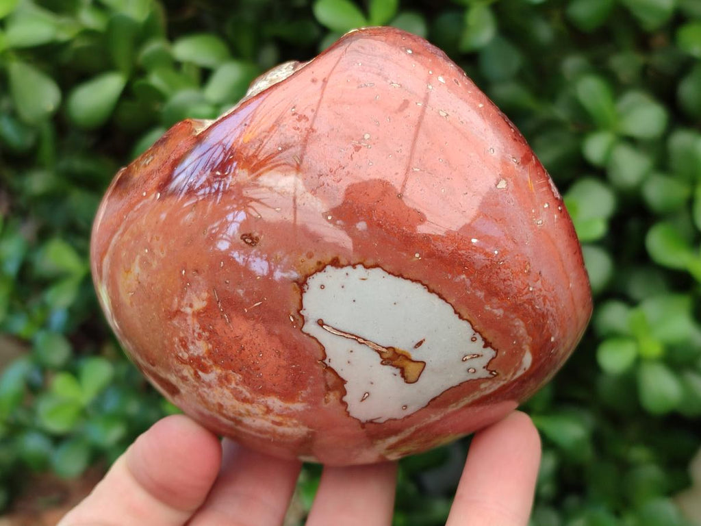 Polished On One Side Polychrome Jasper Nodules x 3 From NW Coast, Madagascar