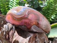 Polished On One Side Polychrome Jasper Nodules x 3 From NW Coast, Madagascar