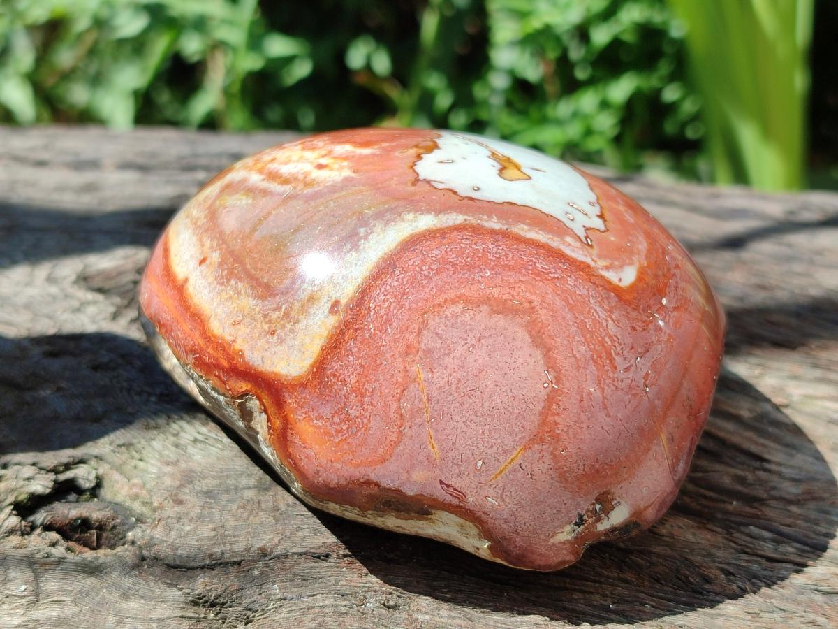 Polished On One Side Polychrome Jasper Nodules x 3 From NW Coast, Madagascar
