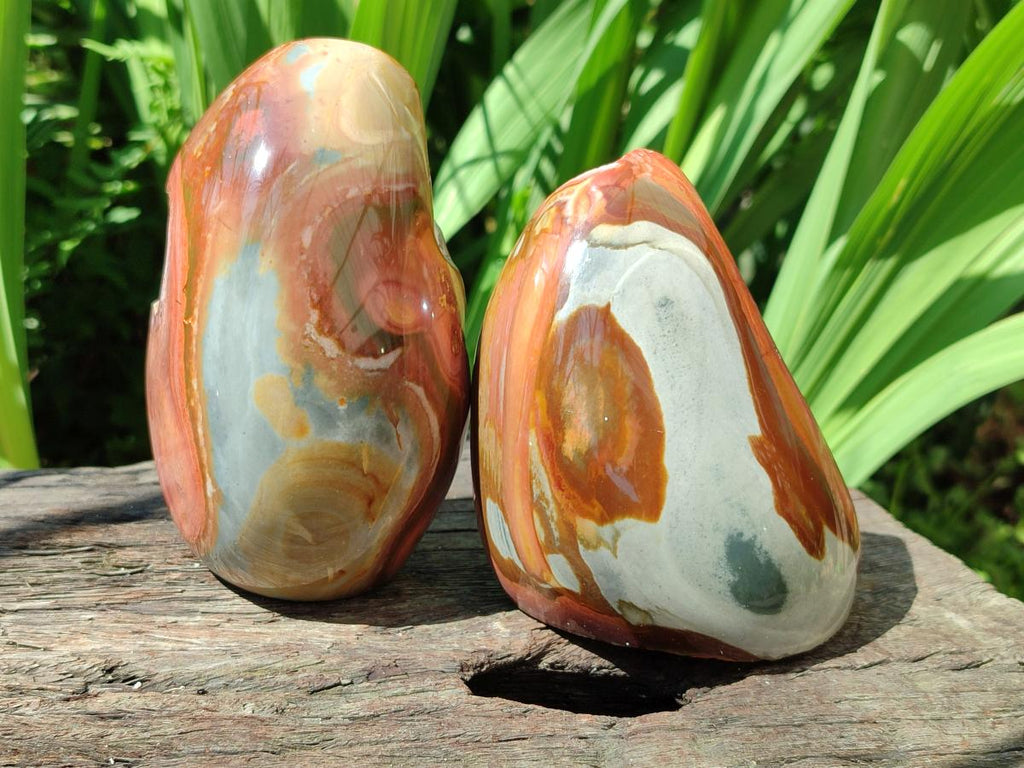 Polished On One Side Polychrome Jasper Nodules x 3 From NW Coast, Madagascar
