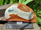Polished On One Side Polychrome Jasper Nodules x 3 From NW Coast, Madagascar