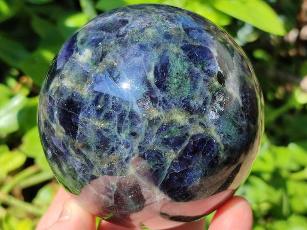 Polished Blue Iolite Water Sapphire Sphere x 2 From Madagascar