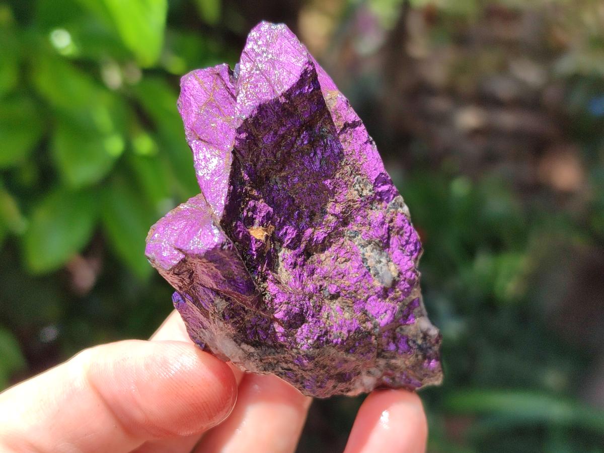 Natural Metallic Cobbed Purpurite Specimens x 12 From Erongo, Namibia