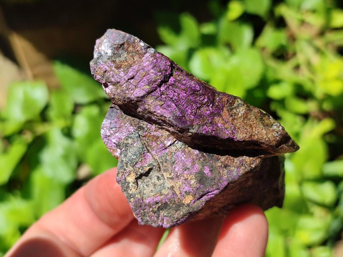 Natural Metallic Cobbed Purpurite Specimens x 12 From Erongo, Namibia