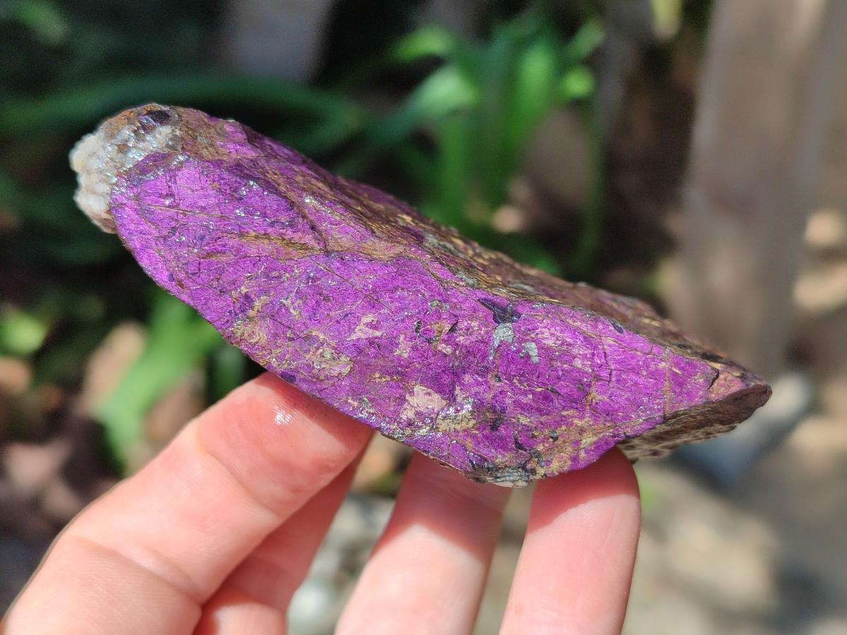 Natural Metallic Cobbed Purpurite Specimens x 12 From Erongo, Namibia