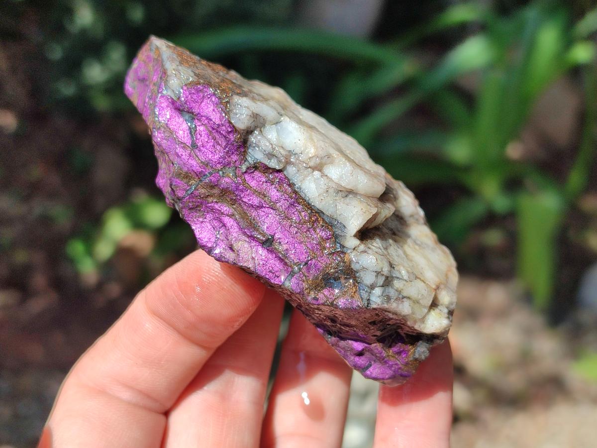 Natural Metallic Cobbed Purpurite Specimens x 12 From Erongo, Namibia