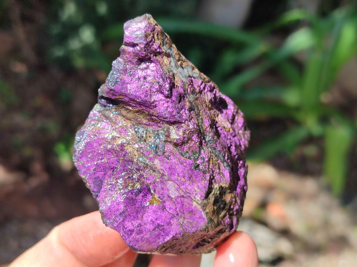 Natural Metallic Cobbed Purpurite Specimens x 12 From Erongo, Namibia