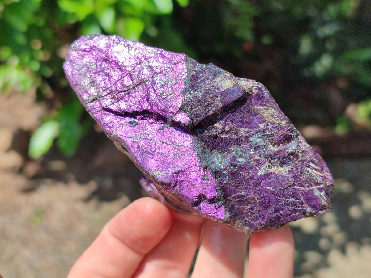 Natural Metallic Cobbed Purpurite Specimens x 12 From Erongo, Namibia