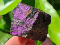 Natural Metallic Cobbed Purpurite Specimens x 12 From Erongo, Namibia