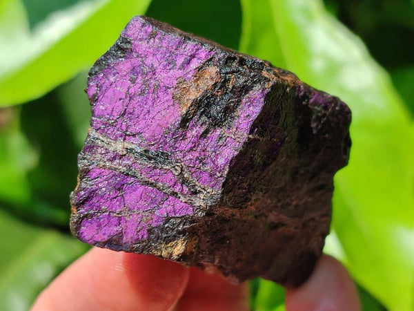 Natural Metallic Cobbed Purpurite Specimens x 12 From Erongo, Namibia