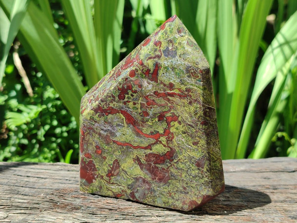 Polished Bastite Dragonsblood Stone Display Crystal x 2 From Tshipise, South Africa