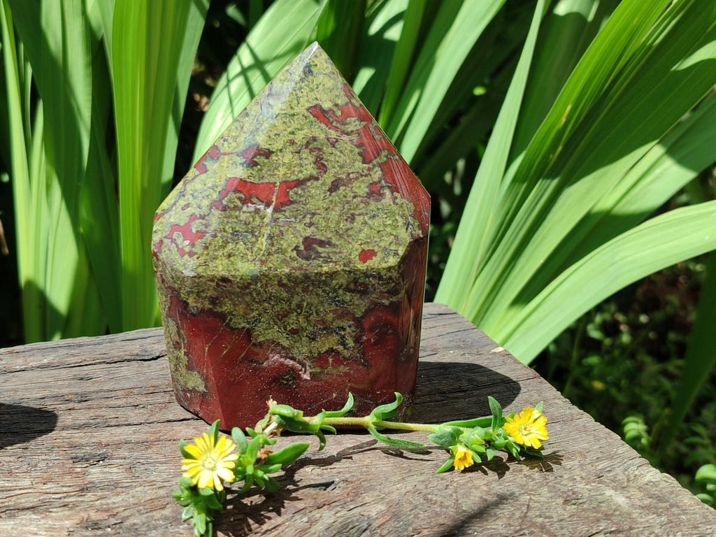 Polished Bastite Dragonsblood Stone Display Crystal x 2 From Tshipise, South Africa