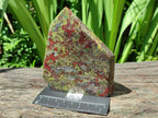 Polished Bastite Dragonsblood Stone Display Crystal x 2 From Tshipise, South Africa