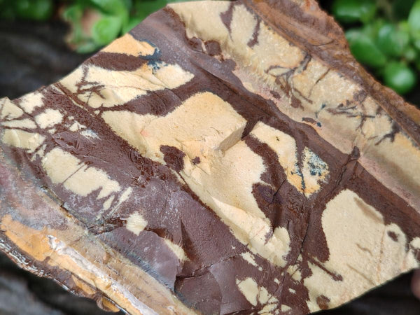 Natural Nguni Jasper Cobbed Specimens x 4 From Northern Cape, South Africa