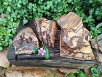 Natural Nguni Jasper Cobbed Specimens x 4 From Northern Cape, South Africa