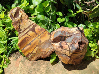 Natural Nguni Jasper Cobbed Specimens x 4 From Northern Cape, South Africa