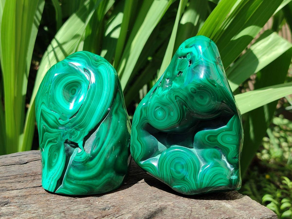 Polished Flower Banded Malachite Free Forms x 3 From Congo