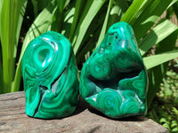 Polished Flower Banded Malachite Free Forms x 3 From Congo