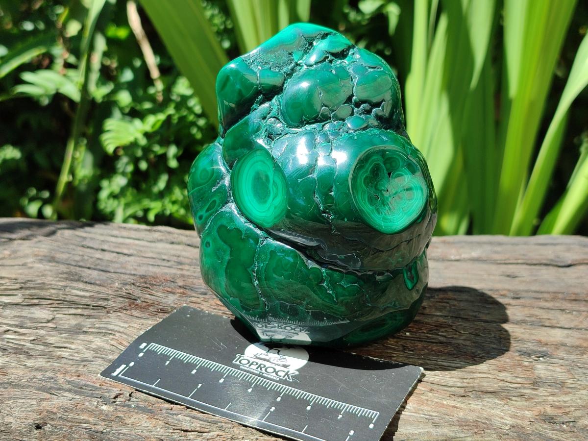 Polished Flower Banded Malachite Free Forms x 3 From Congo