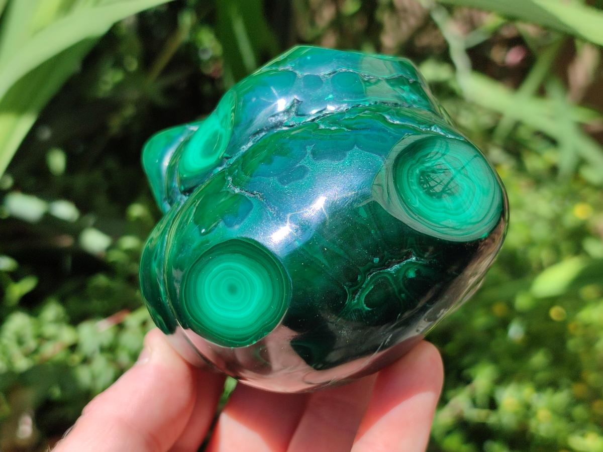Polished Flower Banded Malachite Free Forms x 3 From Congo