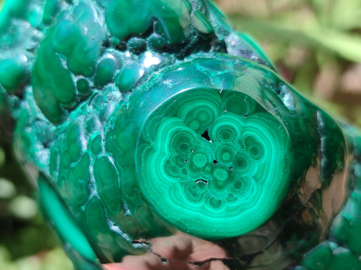 Polished Flower Banded Malachite Free Forms x 3 From Congo
