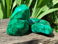 Polished Flower Banded Malachite Free Forms x 3 From Congo