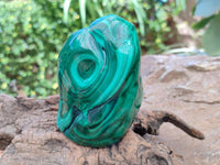 Polished Flower Banded Malachite Free Forms x 3 From Congo