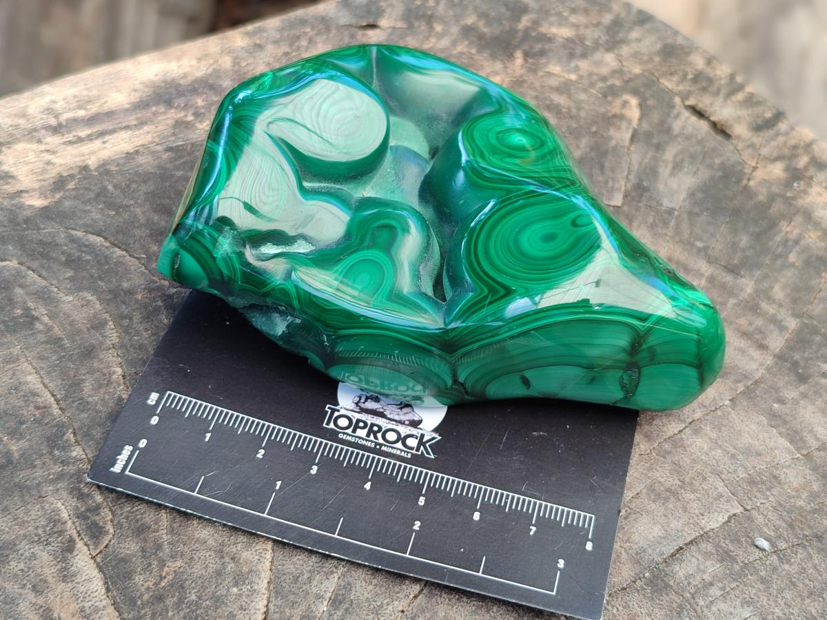 Polished Flower Banded Malachite Free Forms x 3 From Congo