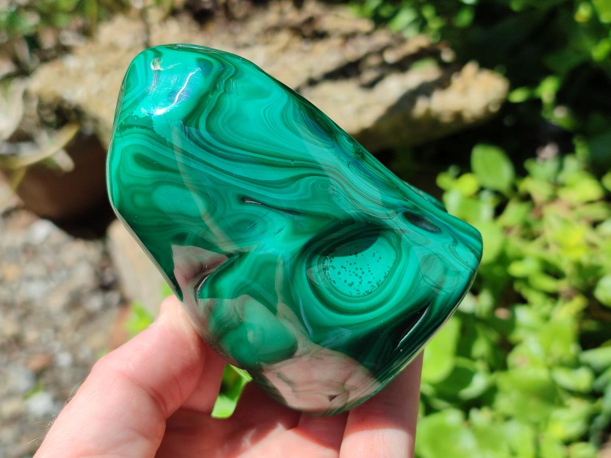 Polished Flower Banded Malachite Free Forms x 3 From Congo