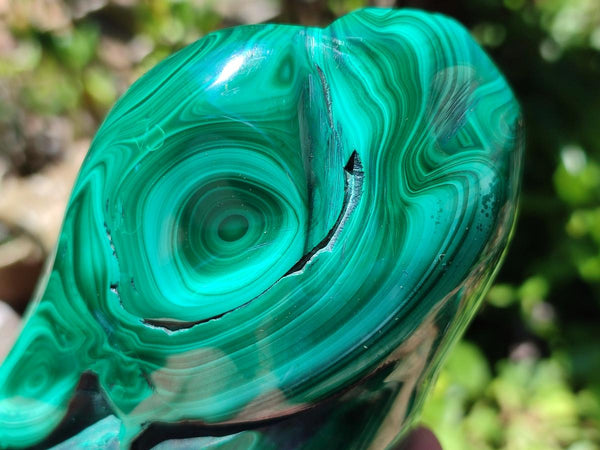 Polished Flower Banded Malachite Free Forms x 3 From Congo