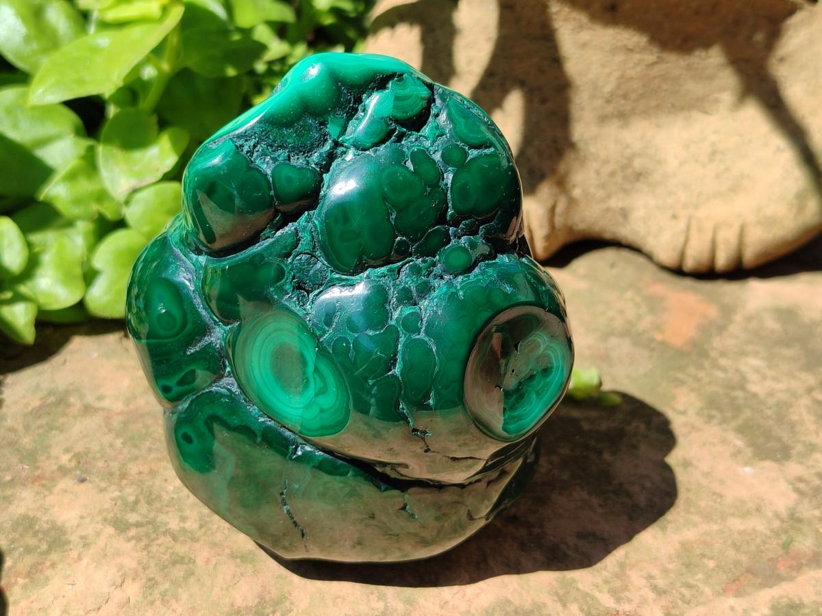 Polished Flower Banded Malachite Free Forms x 3 From Congo