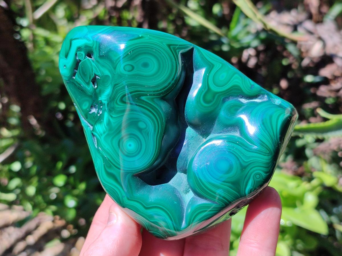 Polished Flower Banded Malachite Free Forms x 3 From Congo