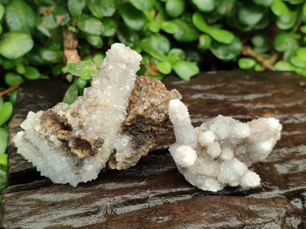 Natural Drusy Quartz Coated Calcite Pseudomorph Snow Finger Crystals x 12 From Albert's Mountain, Lesotho