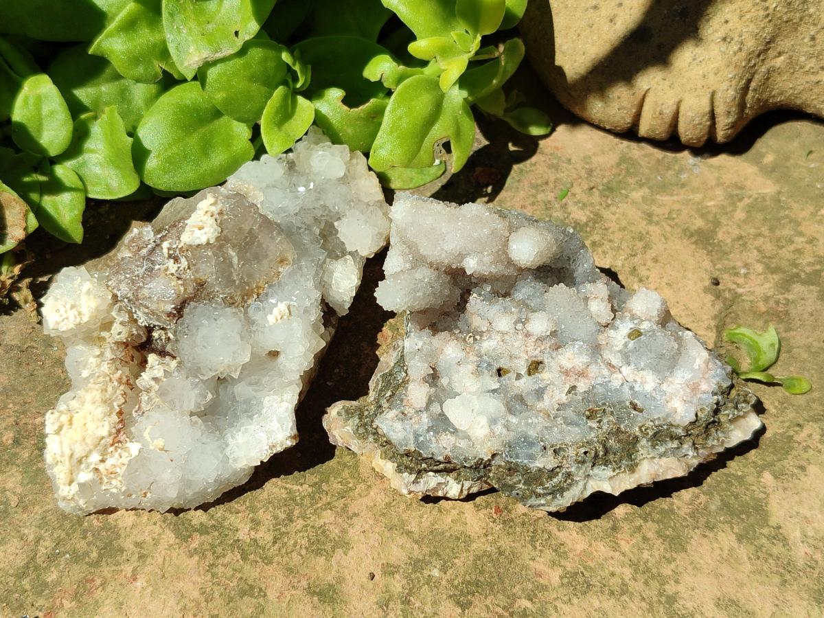 Natural Drusy Quartz Coated Calcite Pseudomorph Snow Finger Crystals x 12 From Albert's Mountain, Lesotho