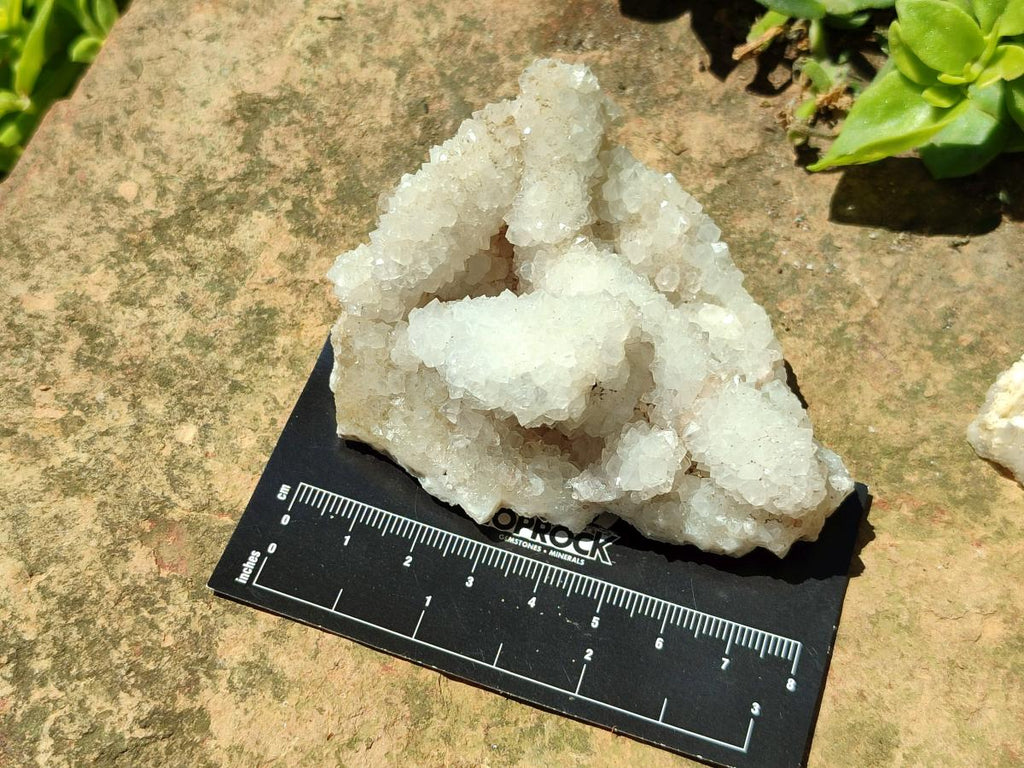 Natural Drusy Quartz Coated Calcite Pseudomorph Snow Finger Crystals x 12 From Albert's Mountain, Lesotho
