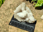 Natural Drusy Quartz Coated Calcite Pseudomorph Snow Finger Crystals x 12 From Albert's Mountain, Lesotho