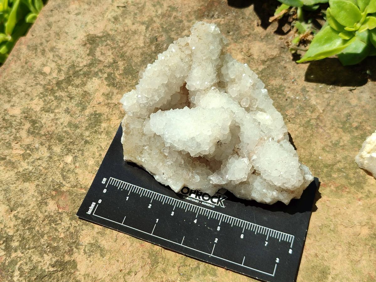 Natural Drusy Quartz Coated Calcite Pseudomorph Snow Finger Crystals x 12 From Albert's Mountain, Lesotho