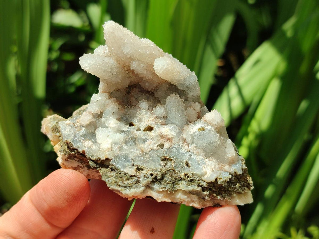 Natural Drusy Quartz Coated Calcite Pseudomorph Snow Finger Crystals x 12 From Albert's Mountain, Lesotho