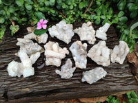 Natural Drusy Quartz Coated Calcite Pseudomorph Snow Finger Crystals x 12 From Albert's Mountain, Lesotho