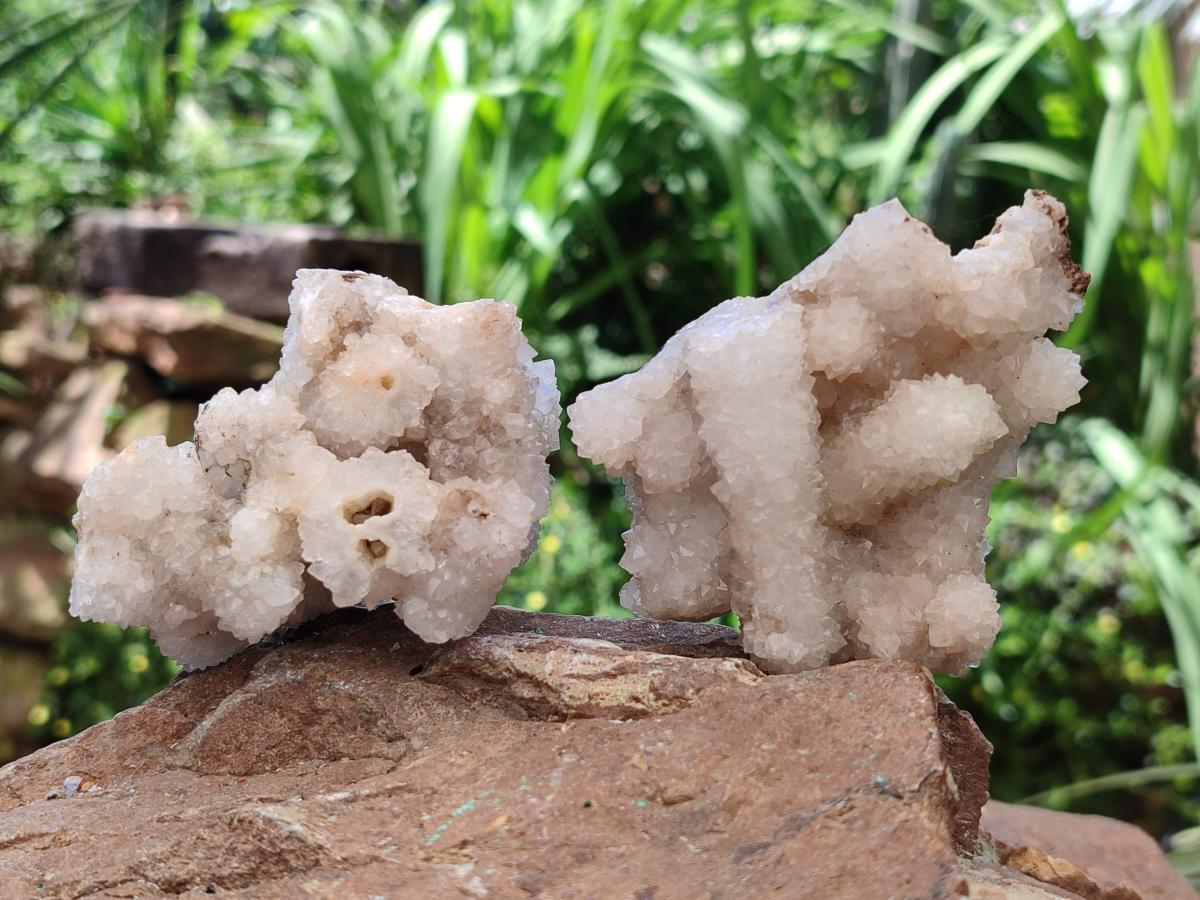 Natural Drusy Quartz Coated Calcite Pseudomorph Snow Finger Crystals x 12 From Albert's Mountain, Lesotho